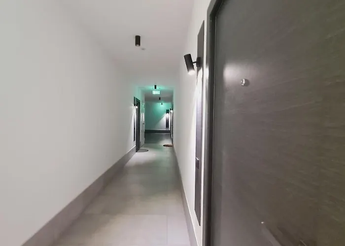 5* Luxury Near Avram Iancu Sq New. Private Parking *